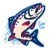 Craft Fish