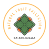 Balkhoorma