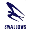 Swallows