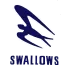 Swallows