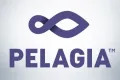 Pelagia