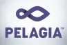 Pelagia
